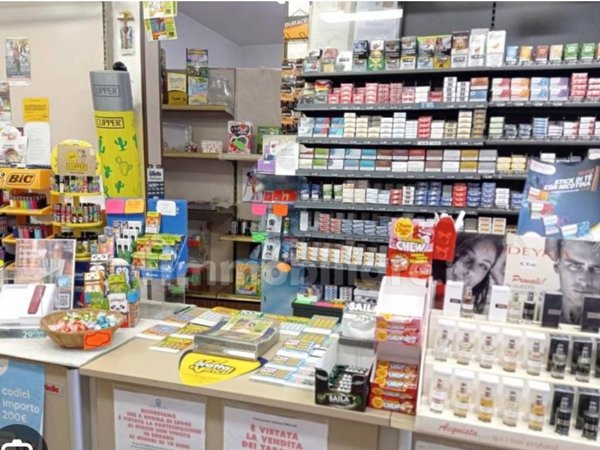 negozio in vendita a Sesto Fiorentino in zona Osmannoro