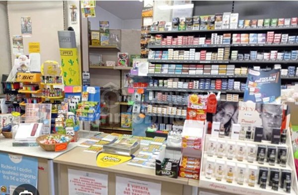 negozio in vendita a Sesto Fiorentino in zona Osmannoro