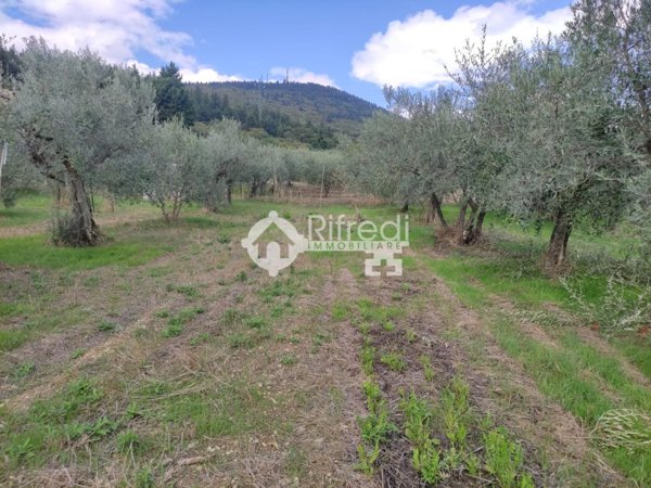 terreno agricolo in vendita a Sesto Fiorentino