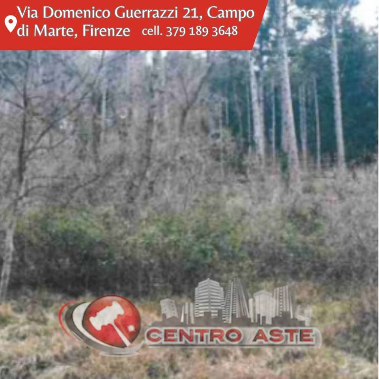 casa indipendente in vendita a Sesto Fiorentino