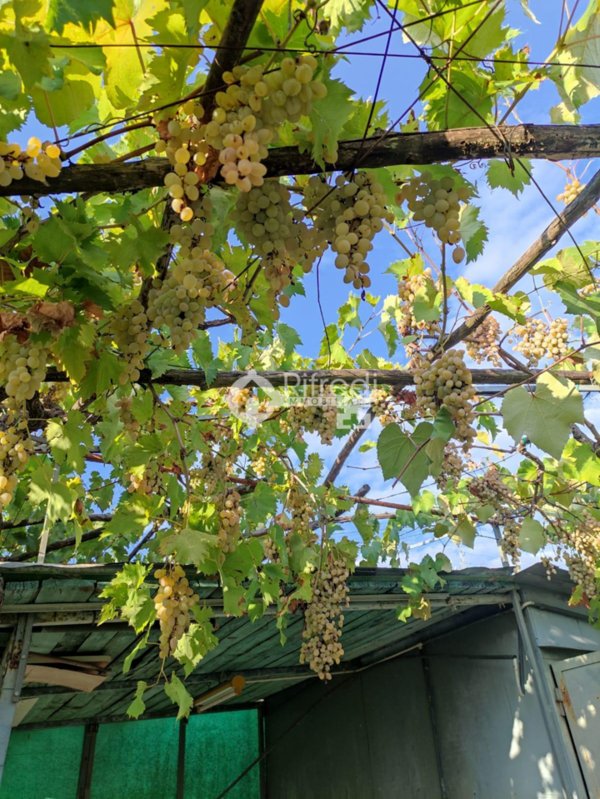 terreno agricolo in vendita a Sesto Fiorentino