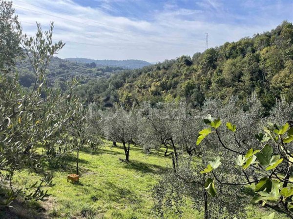 terreno agricolo in vendita a Sesto Fiorentino in zona Cercina
