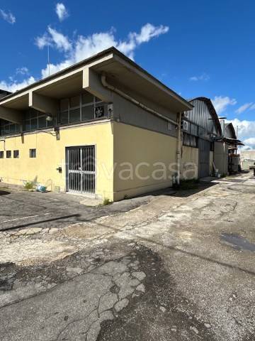 appartamento in vendita a Sesto Fiorentino in zona Osmannoro