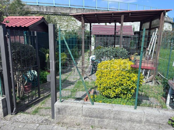 immagine annuncio 0 di 15