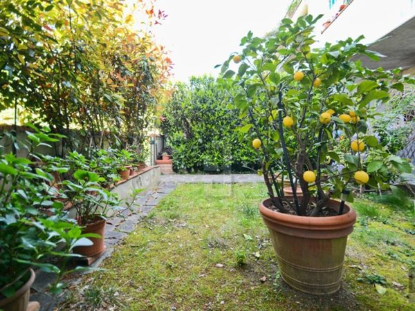 appartamento in vendita a Sesto Fiorentino