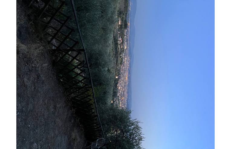 terreno agricolo in vendita a Sesto Fiorentino
