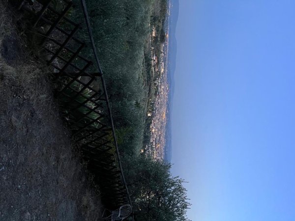 terreno agricolo in vendita a Sesto Fiorentino