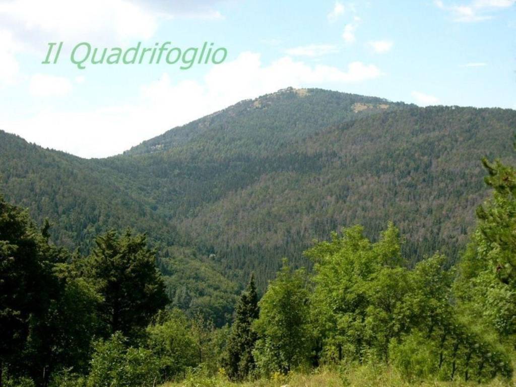 ufficio in vendita a Sesto Fiorentino in zona Cercina