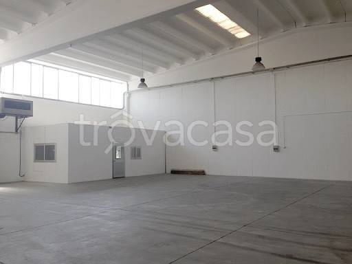 appartamento in vendita a Signa
