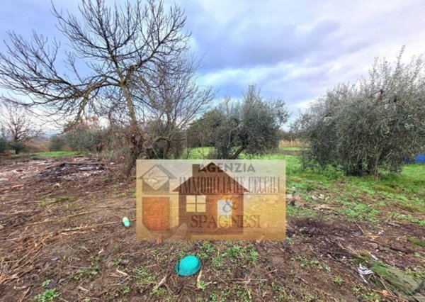 appartamento in vendita a Signa