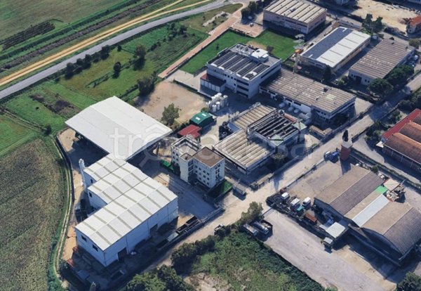 negozio in vendita a Signa