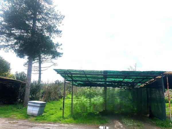 casa indipendente in vendita a Signa in zona Sant'Angelo a Lecore