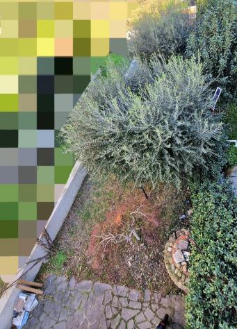 appartamento in vendita a Signa