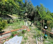casa indipendente in vendita a Signa
