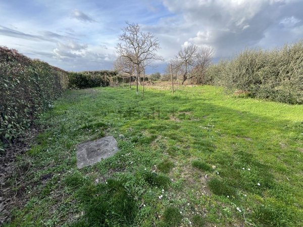 appartamento in vendita a Signa