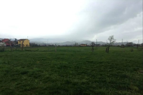 immagine annuncio 0 di 10