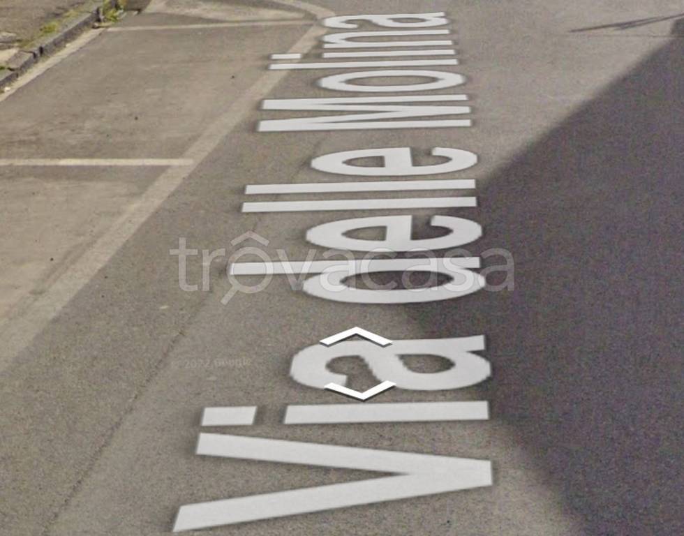 terreno agricolo in vendita a Signa