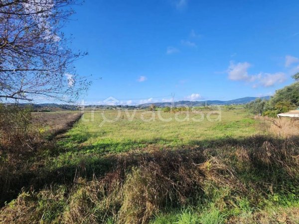 casa indipendente in vendita a Signa