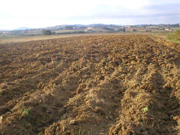 casale in vendita a Signa