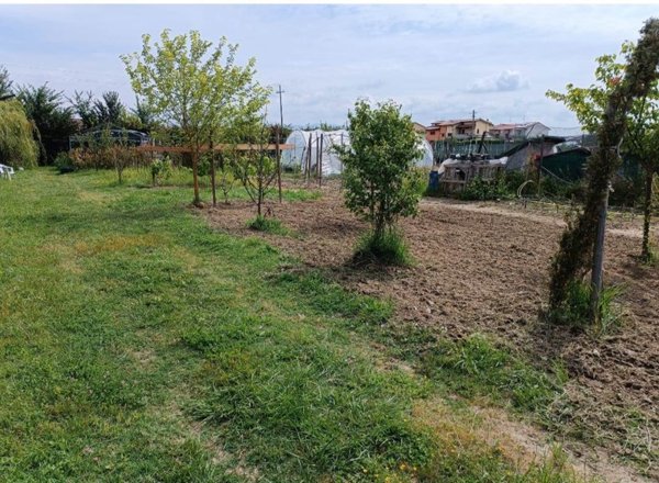 terreno agricolo in vendita a Signa in zona Sant'Angelo a Lecore