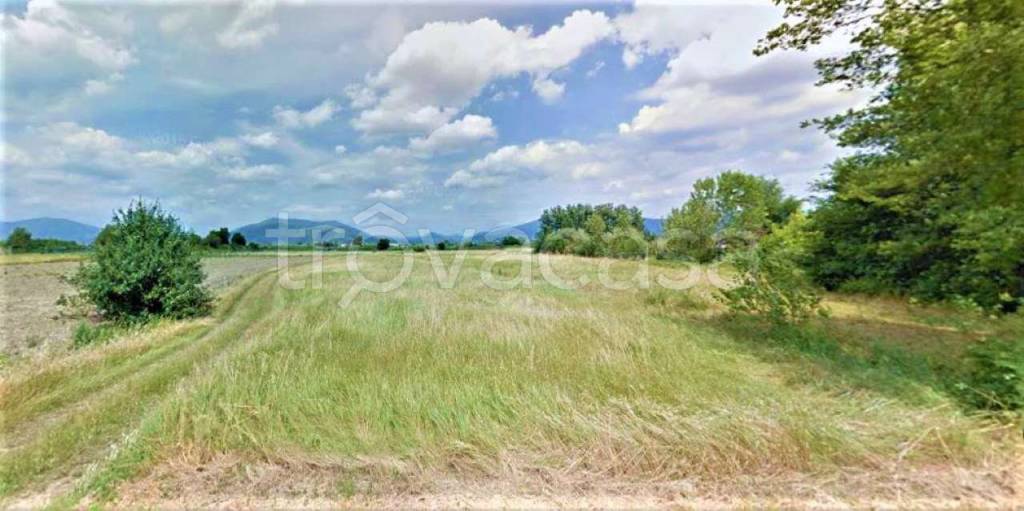 casa indipendente in vendita a Signa