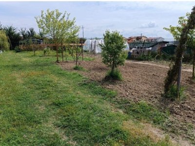terreno agricolo in vendita a Signa in zona Sant'Angelo a Lecore