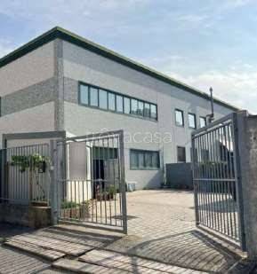 negozio in vendita a Signa