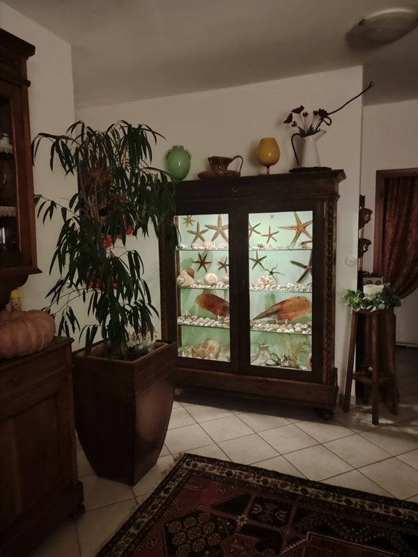 appartamento in vendita a Signa