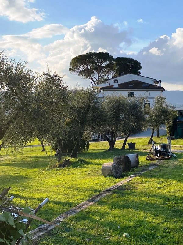 villa in vendita a Signa