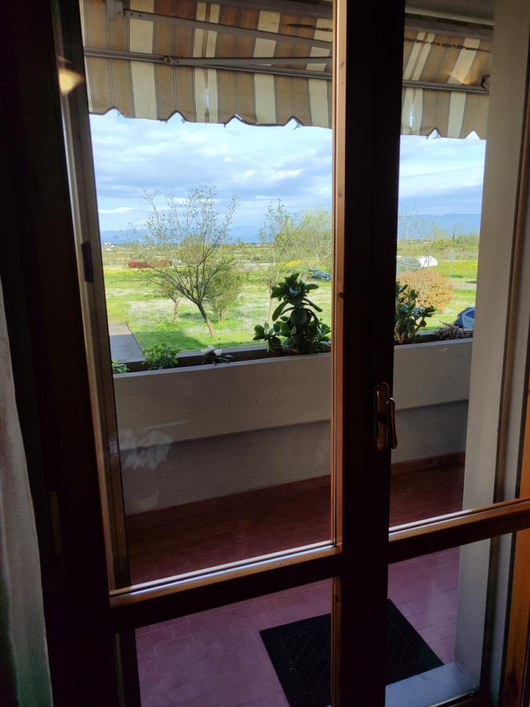 appartamento in vendita a Signa