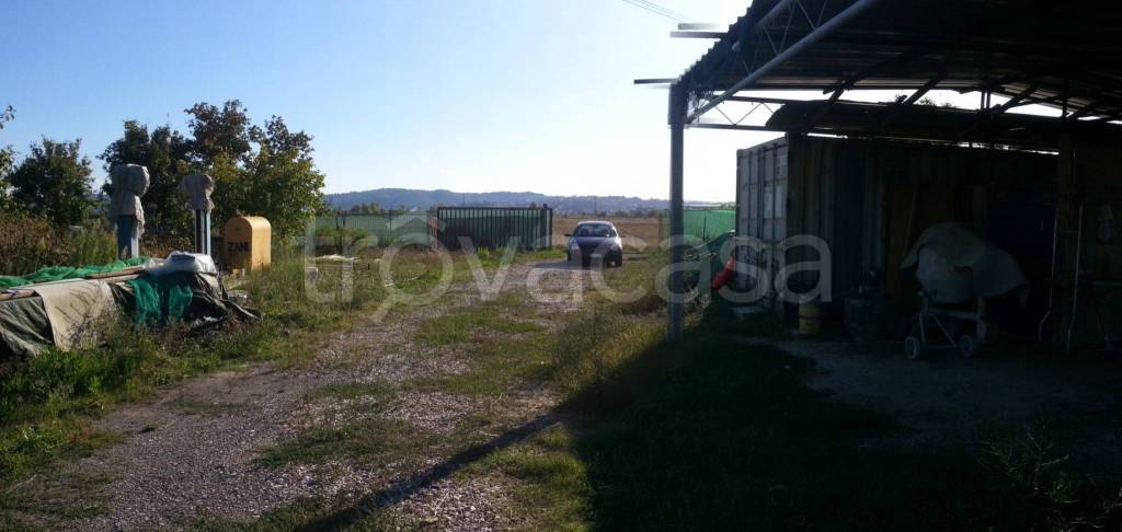 terreno agricolo in vendita a Signa