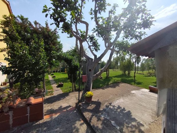 casa indipendente in vendita a Signa in zona Sant'Angelo a Lecore