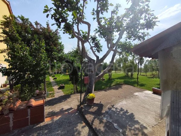 casa indipendente in vendita a Signa in zona Lecore