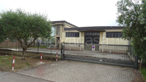 locale commerciale in vendita a Signa