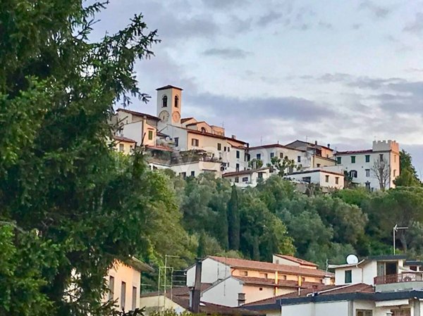 appartamento in vendita a Signa