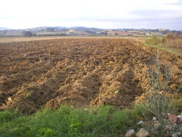 casa indipendente in vendita a Signa in zona Lecore