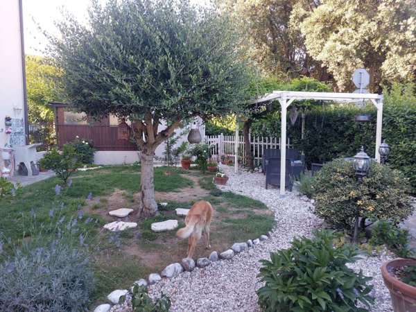 appartamento in vendita a Signa in zona Sant'Angelo a Lecore