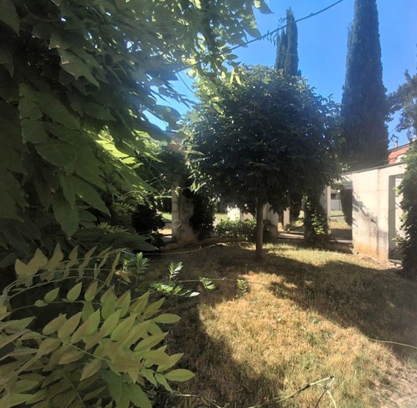 appartamento in vendita a Signa