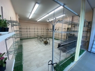 appartamento in vendita a Signa