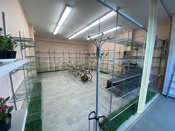 appartamento in vendita a Signa