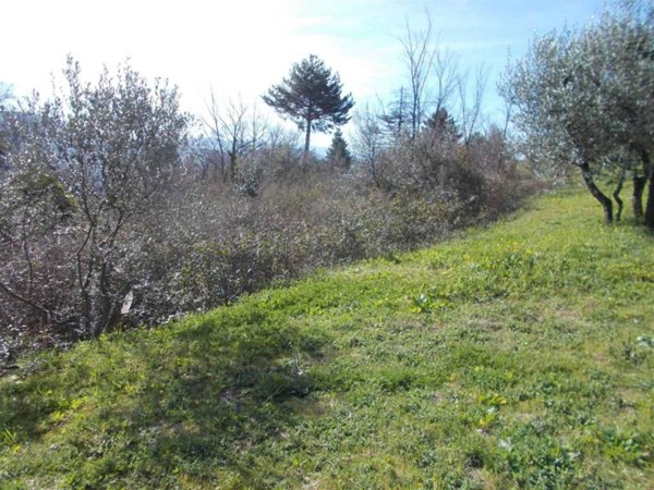 terreno agricolo in vendita a Vaglia