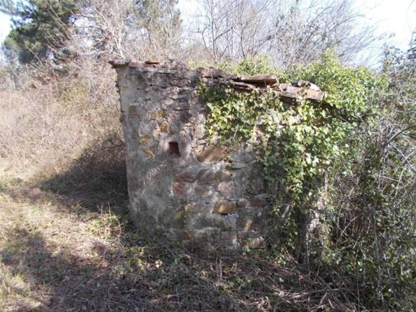 terreno agricolo in vendita a Vaglia