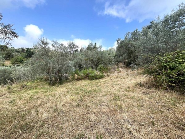 terreno agricolo in vendita a Vaglia