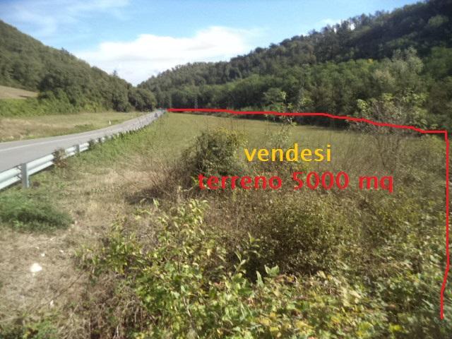 negozio in vendita a Vaglia