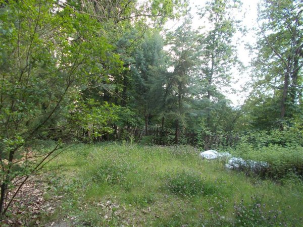 terreno agricolo in vendita a Vaglia
