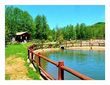 negozio in vendita a Vaglia