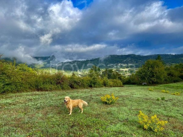terreno agricolo in vendita a Vaglia