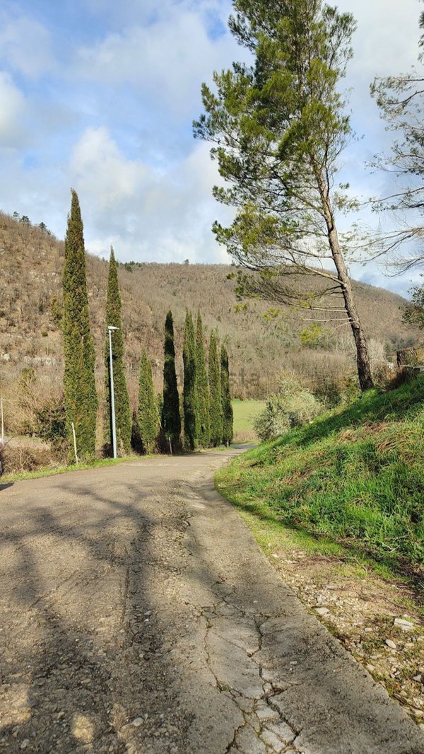 appartamento in vendita a Vaglia