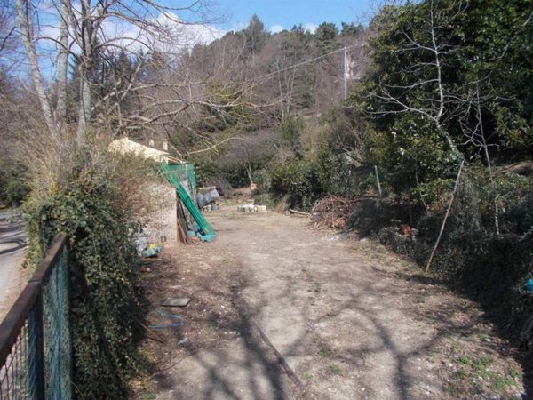 terreno agricolo in vendita a Vaglia