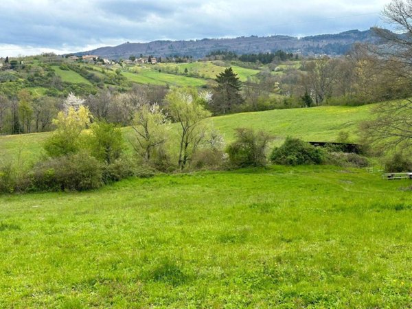 terreno agricolo in vendita a Vaglia